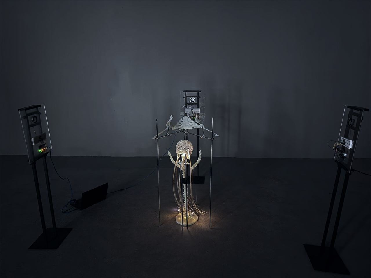 The installation in a dark room, a perforated sphere and a 3D-printed spine glowing with strands of optical fiber, between two tall acrylic panels.